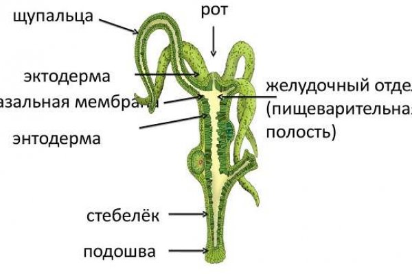 Kraken все зеркала ссылки